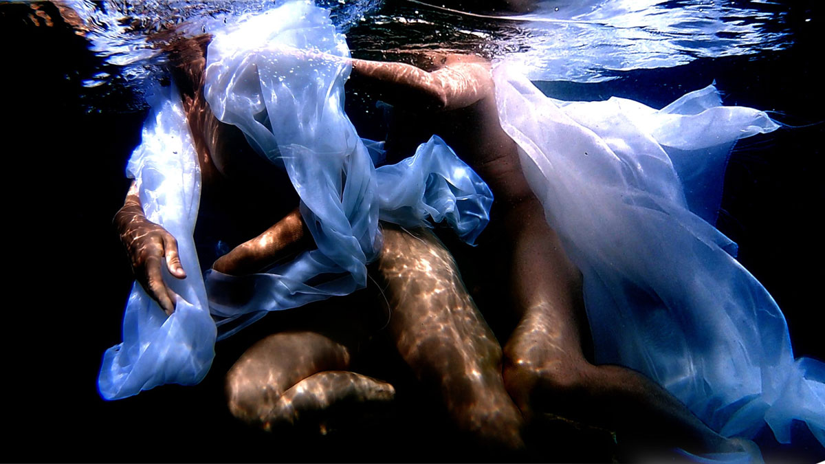 VideOvide Hermaphrodite