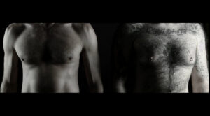 A photo of two male hairy torsos or chests, two gay bears. A celebration of male bodies