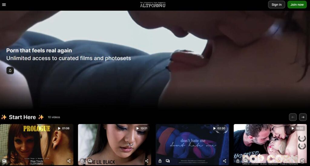 AltPorn4U screen
